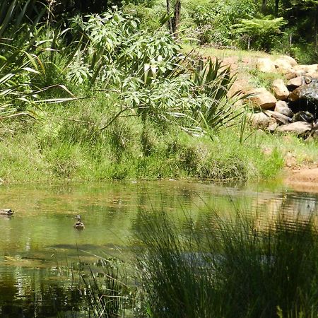 Puketotara Lodge Kerikeri Eksteriør billede
