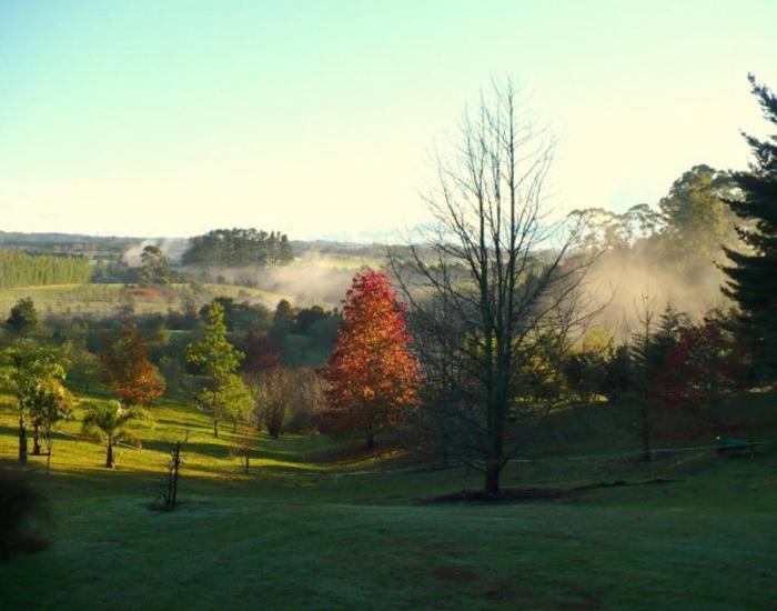 Puketotara Lodge Kerikeri Eksteriør billede