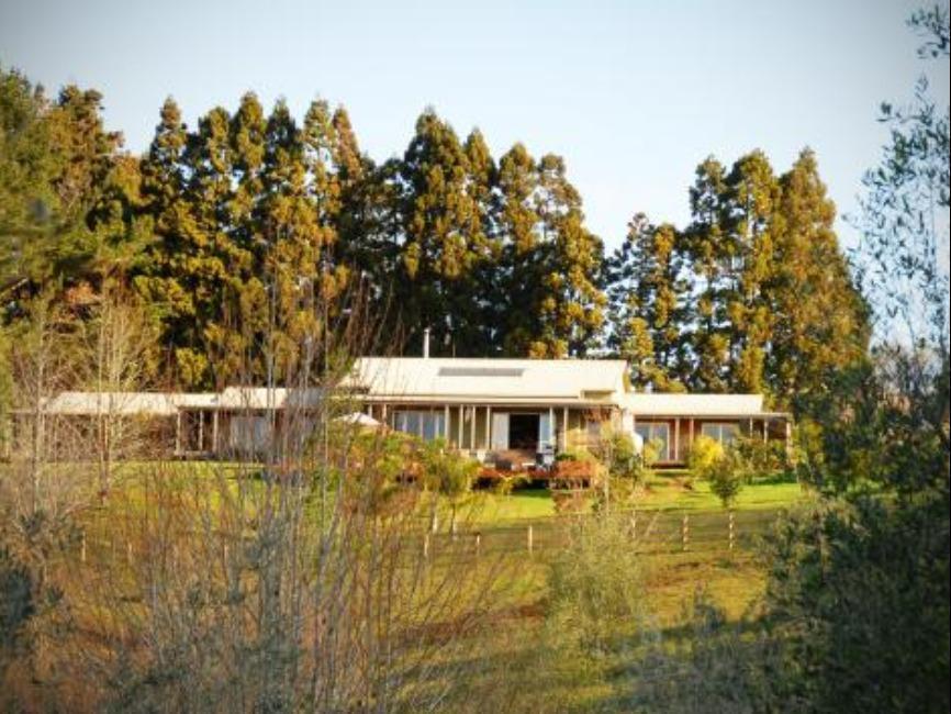 Puketotara Lodge Kerikeri Eksteriør billede