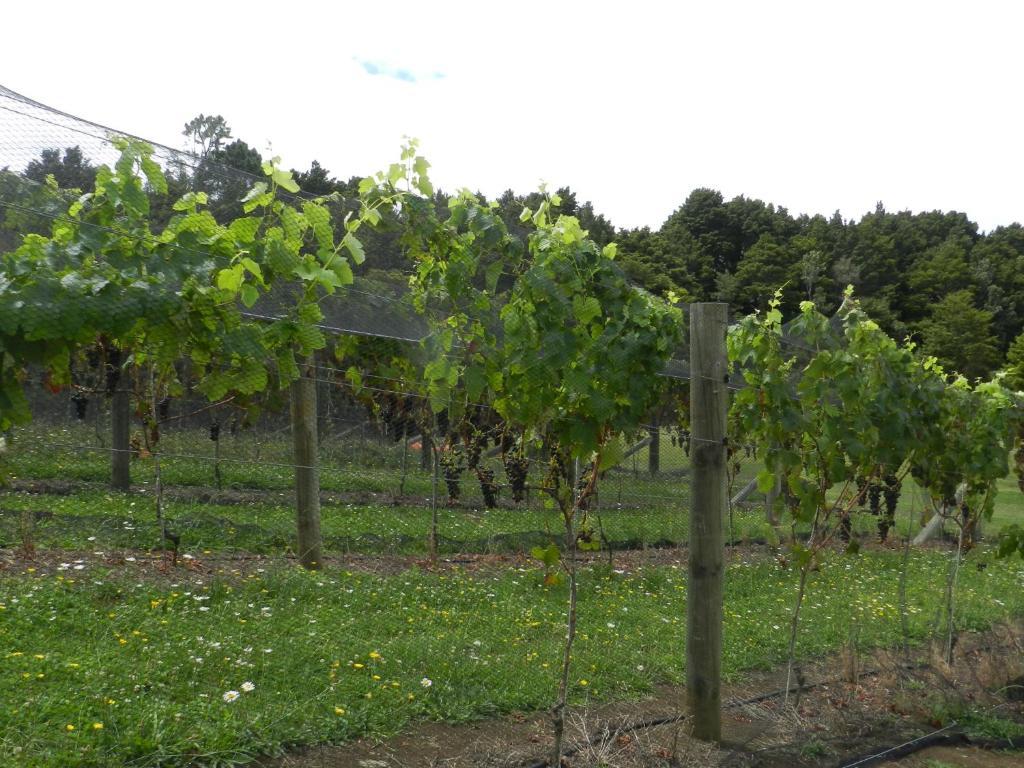 Puketotara Lodge Kerikeri Eksteriør billede